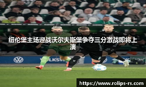 333体育平台