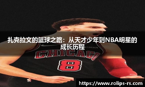 333体育平台