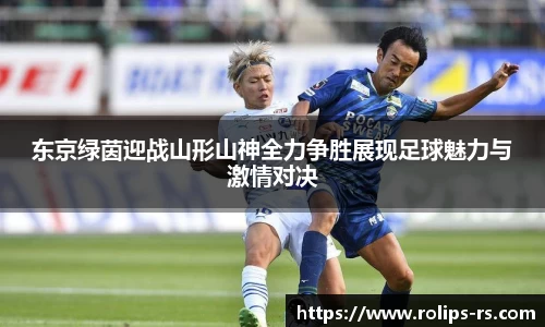 333体育app最新版本下载