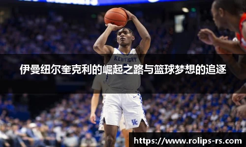 333体育官网登录